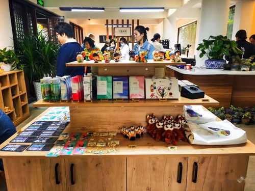 大理文旅融合新篇章 旅游集團與高校攜手，民族文化創意中心試運營啟航